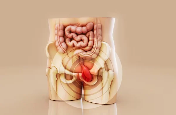 Abdominal Hernias
